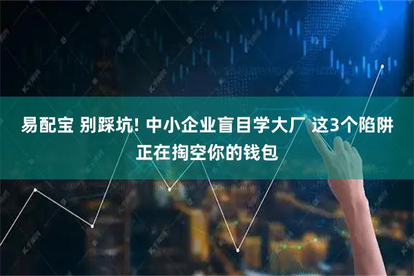 易配宝 别踩坑! 中小企业盲目学大厂 这3个陷阱正在掏空你的钱包