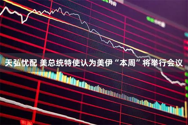 天弘忧配 美总统特使认为美伊“本周”将举行会议